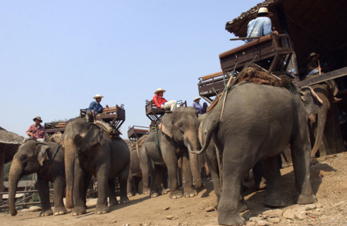 CHIANGMAI-THAILANDE-SOCIETE-TOURISME