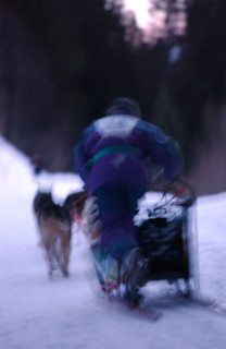 COURSE GRANDE ODYSSEE