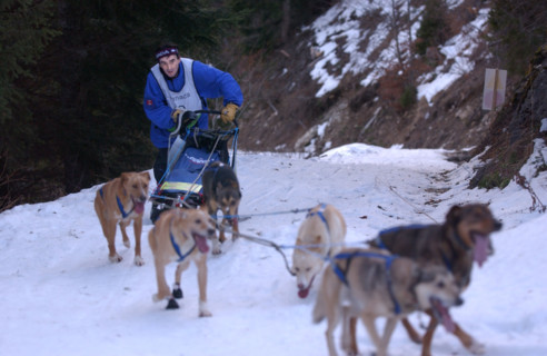 COURSE GRANDE ODYSSEE