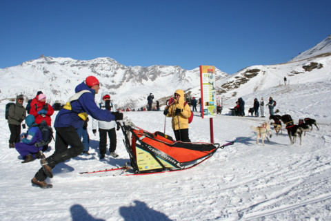 COURSE GRANDE ODYSSEE