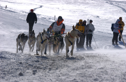 COURSE GRANDE ODYSSEE