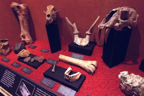 France Prehistory