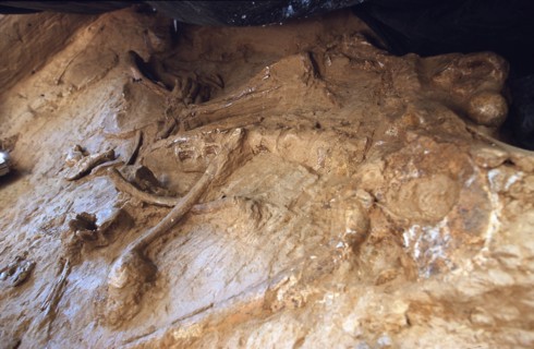 France Prehistory