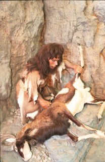 France Prehistory