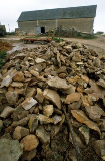 France Prehistory