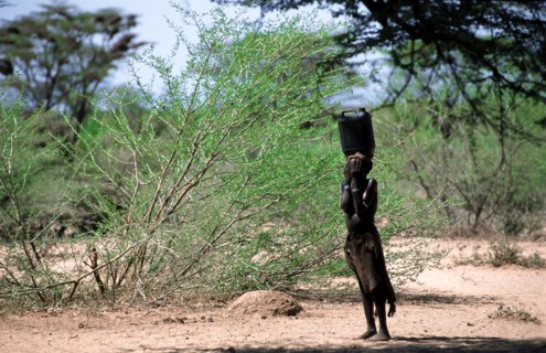 AFRIQUE