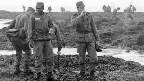 Armée française