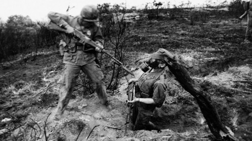Armée française