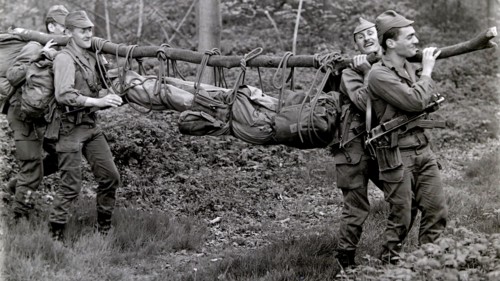 Armée française