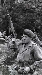 Armée française