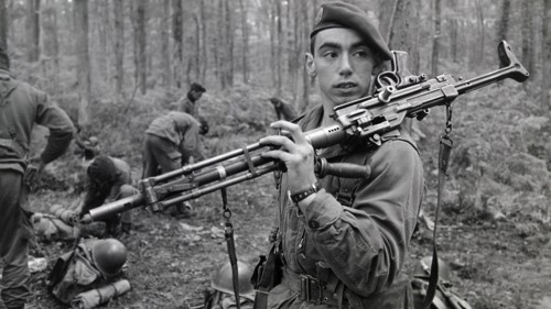 Armée française