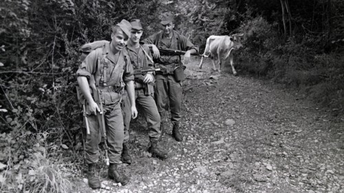 Armée française