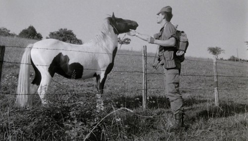 Armée française