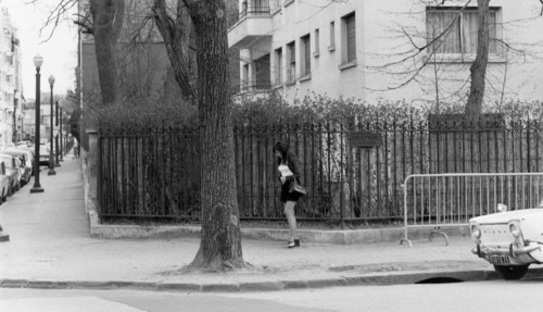 French society 1973