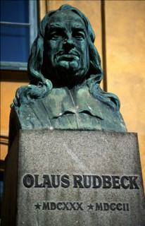 Suède Olaus Rudbeck // Sweden Olaus Rudbeck