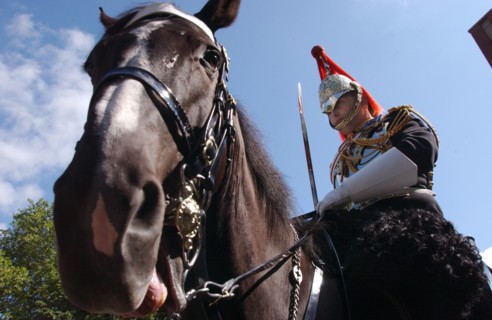 Great-Britain Blues And Royals