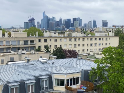 Paris district