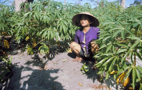 Guerre du Vietnam,1974