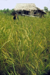 Vietnam, 1974