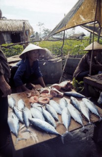 Vietnam, 1974
