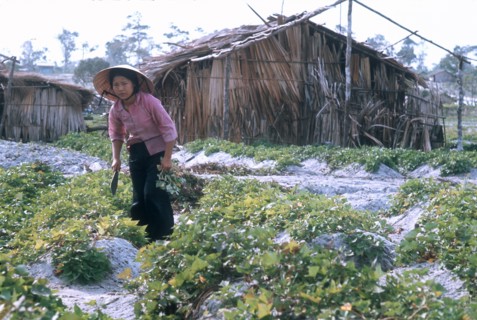 Vietnam, 1974