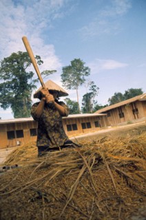 Vietnam, 1974