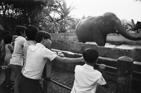 Vietnam, 1974