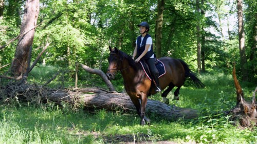 Equitation, France