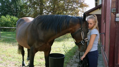 Equitation, France