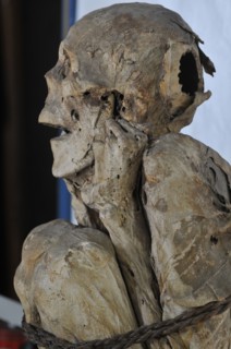Paris, musée de l'Homme