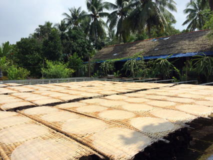 Vietnam Agriculture