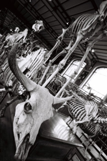 France - History - Museums