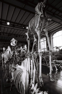 France - History - Museums