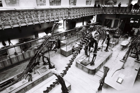 France - History - Museums