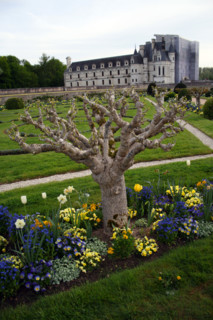 Château de Chenonceau