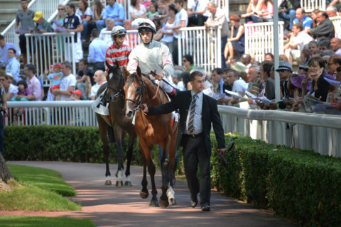 Paris, Auteuil Hippodrome