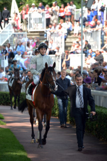 Paris, Auteuil Hippodrome