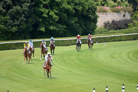 Paris, Auteuil Hippodrome
