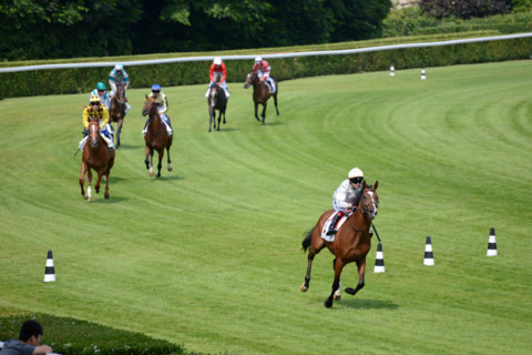 Paris, Auteuil Hippodrome