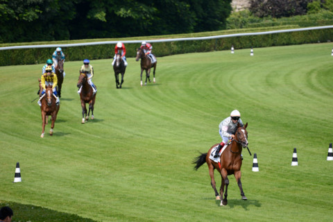 Paris, Auteuil Hippodrome