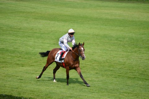 Paris, Auteuil Hippodrome