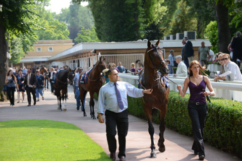 Paris, Auteuil Hippodrome