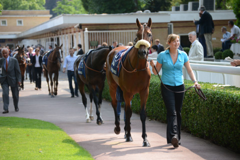 Paris, Auteuil Hippodrome