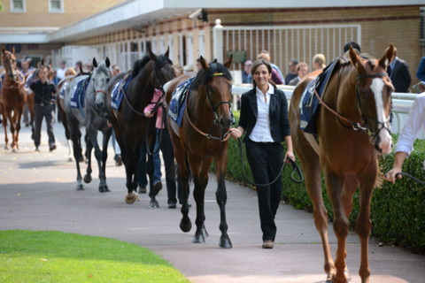 Paris, Auteuil Hippodrome