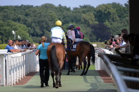 Paris, Auteuil Hippodrome
