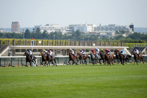 Paris, Auteuil Hippodrome