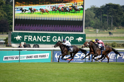Paris, Auteuil Hippodrome