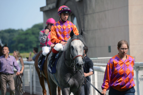 Paris, Auteuil Hippodrome