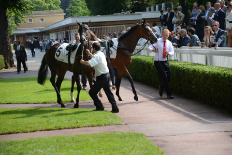 Paris, Auteuil Hippodrome