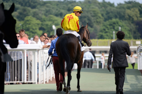 Paris, Auteuil Hippodrome